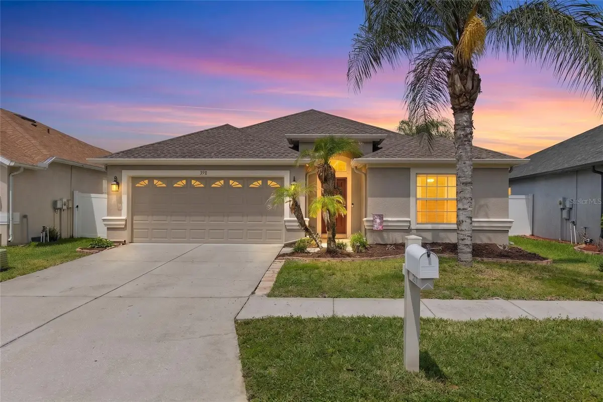 3911 Langdrum Drive, Wesley Chapel, FL 33543 - #1
