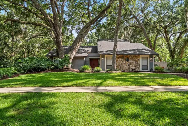 2503 High Oaks Lane, LUTZ, FL 33559