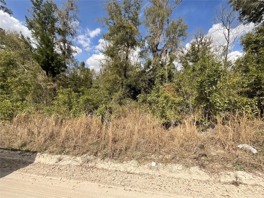 SW Old Spanish Road, Fort White, FL 32038 - #3