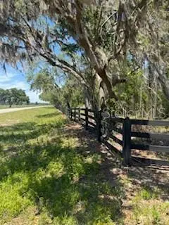 Ne Hwy 353, Old Town, FL 32680 - #2