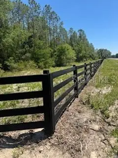 Ne Hwy 353, Old Town, FL 32680 - #3