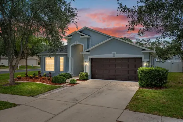 4224 Branchside Lane, WESLEY CHAPEL, FL 33543