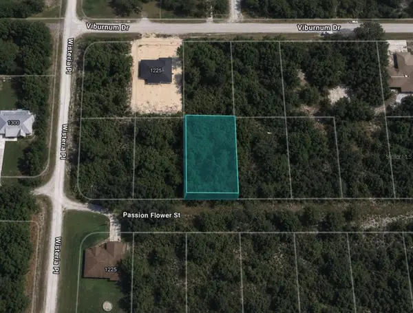 1220 Passion Flower Street, SEBRING, FL 33875