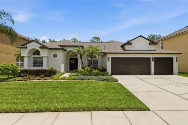 27309 Fordham Drive, WESLEY CHAPEL, FL 33544