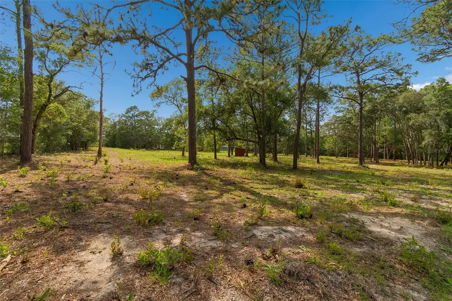 Grove Road, Brooksville, FL 34613 - #2
