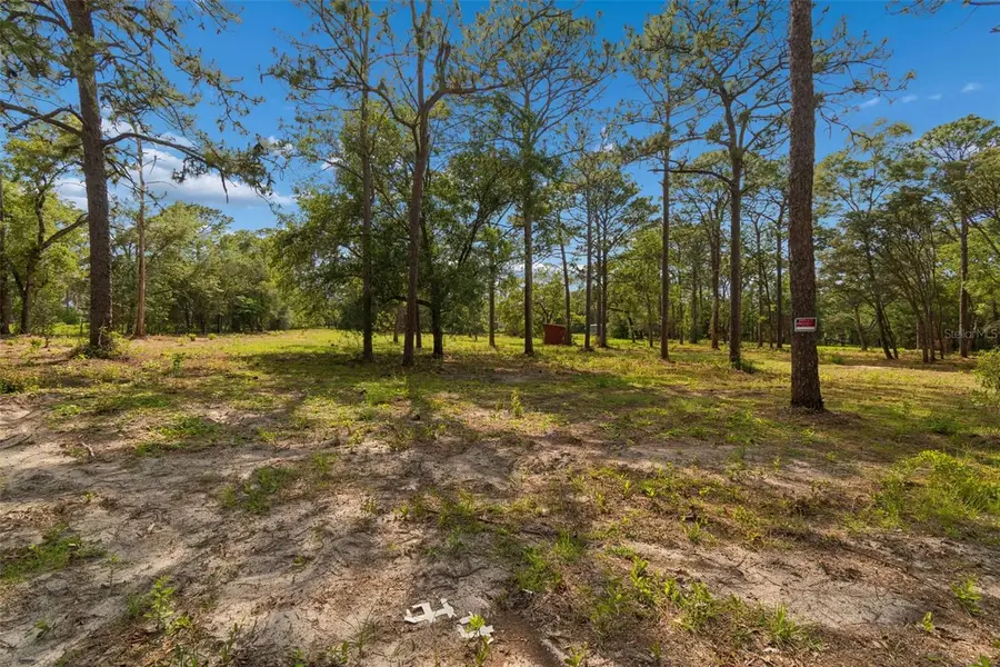 Grove Road, Brooksville, FL 34613 - #3