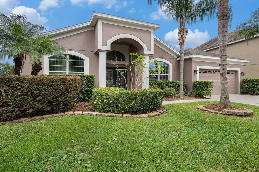 20017 Painting Nature Lane, Tampa, FL 33647 - #2