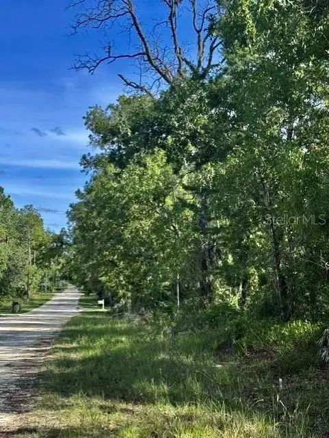 Macek Road, Weeki Wachee, FL 34614 - #2