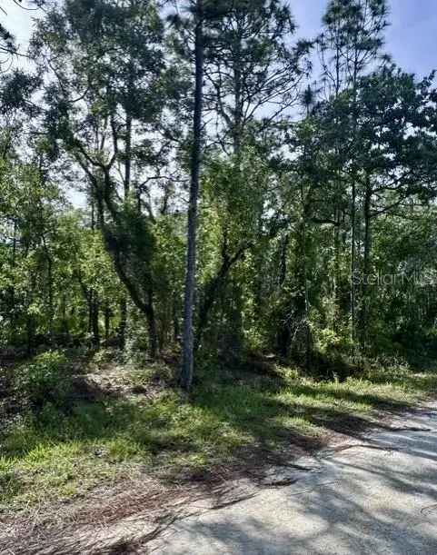 Macek Road, Weeki Wachee, FL 34614 - #3