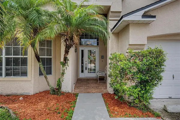 10238 Charleston Corner Road, TAMPA, FL 33635