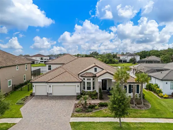 33164 Kateland Drive, WESLEY CHAPEL, FL 33545