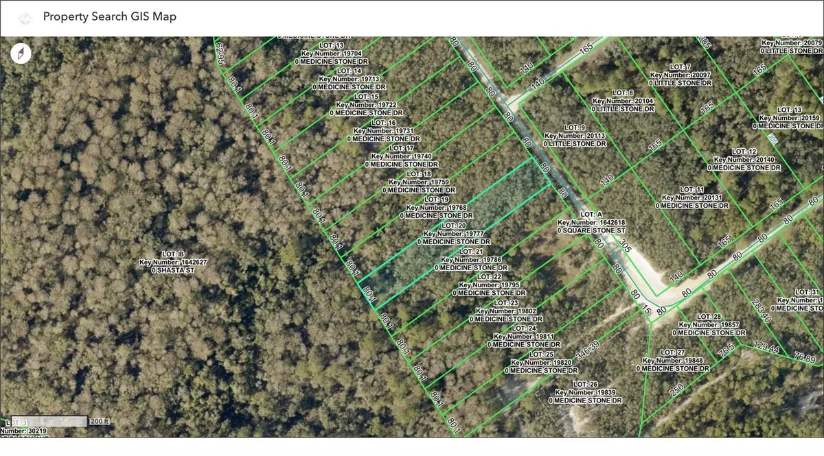 TBD Medicine Stone Drive, Webster, FL 33597 - #1