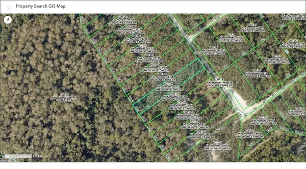 TBD Medicine Stone Drive, WEBSTER, FL 33597