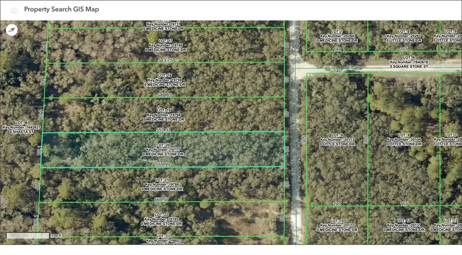 TBD Medicine Stone Drive, Webster, FL 33597 - #3