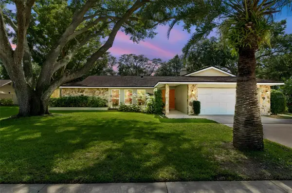 515 Sandy Hook Road, PALM HARBOR, FL 34683