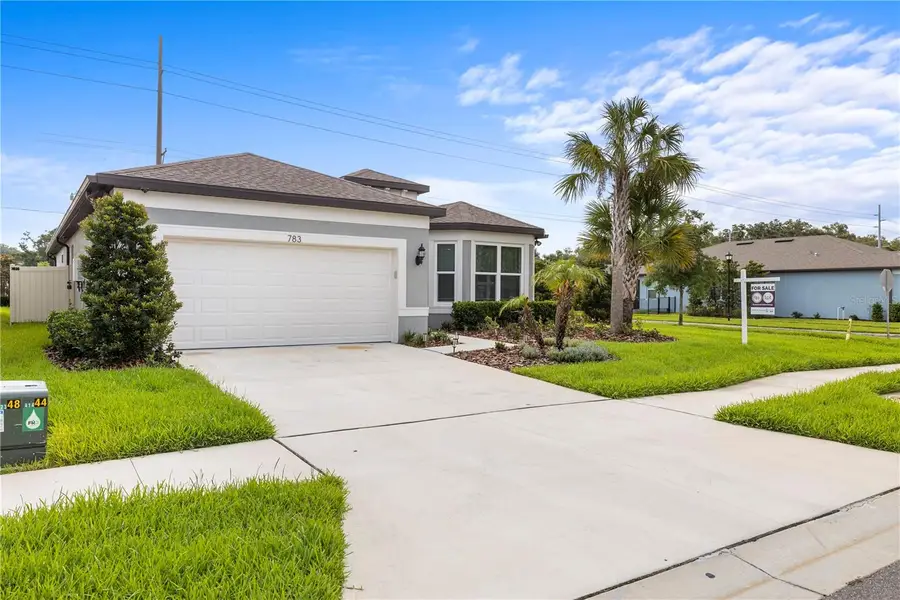 783 Little Cloud Place, Valrico, FL 33594 - #2