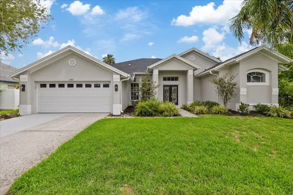 13417 Iola Drive, TAMPA, FL 33626