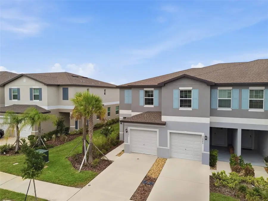 32041 Powderpuff Mimosa Drive, San Antonio, FL 33576 - #2