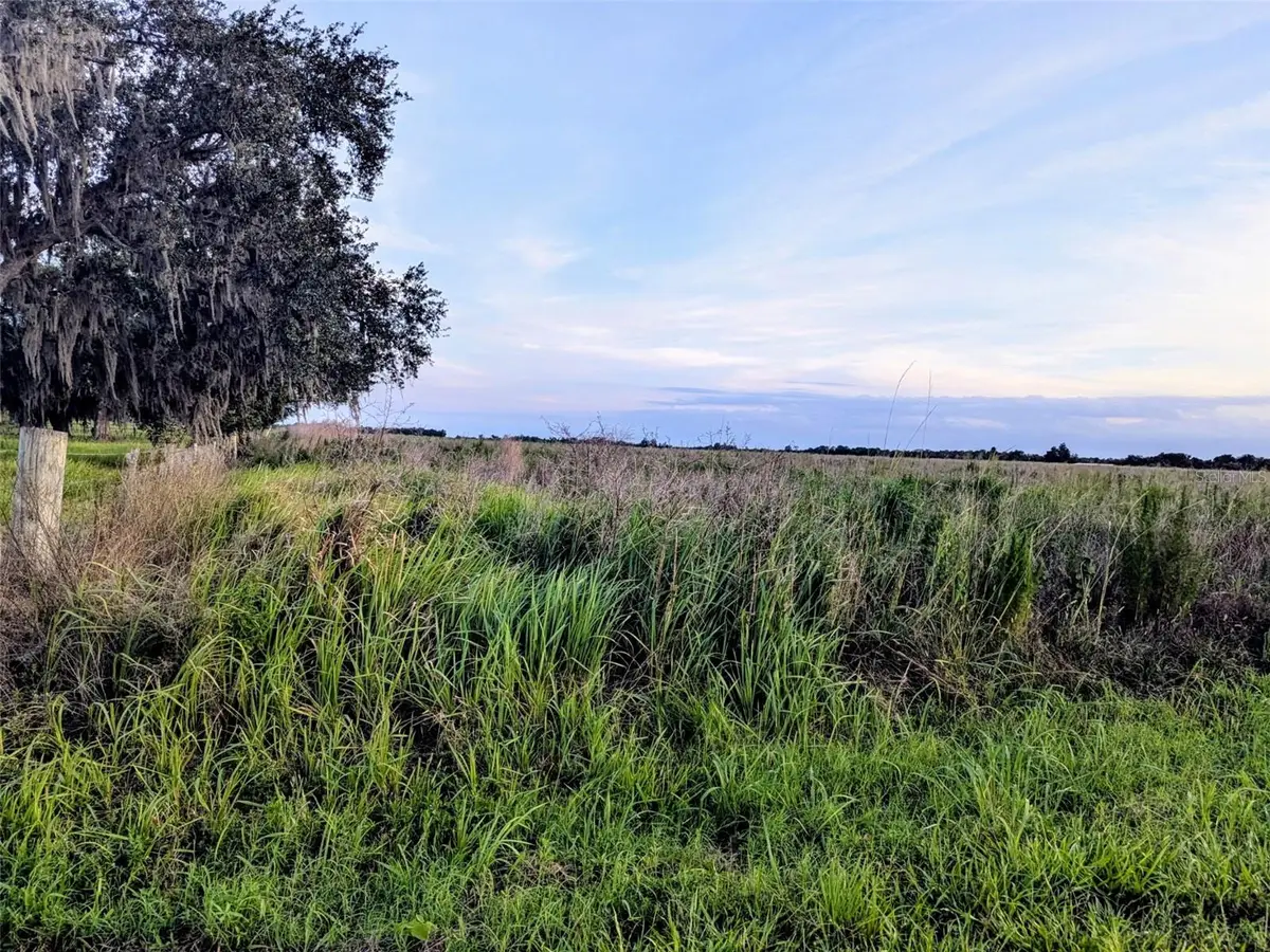 Tom Bryan Rd, Zolfo Springs, FL 33890 - #1