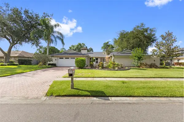 4308 Middle Lake Drive, TAMPA, FL 33624