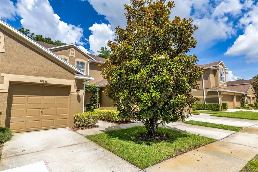 18958 Duquesne Drive, Tampa, FL 33647 - #3