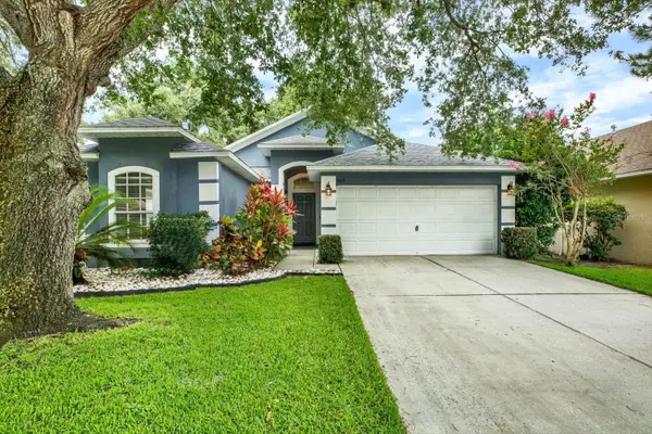 805 Straw Lake Drive, BRANDON, FL 33510