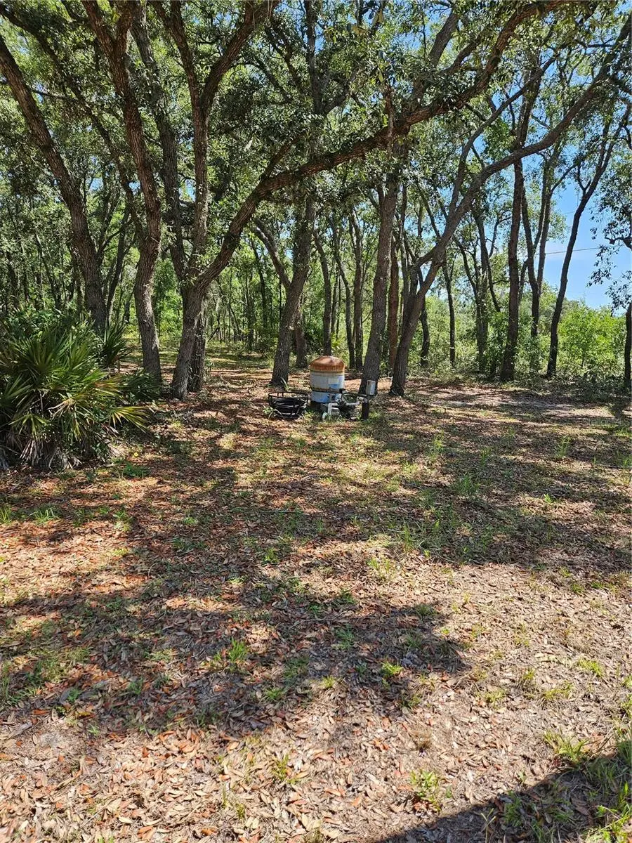 4300 W Roadrunner Court, Homosassa, FL 34446 - #1