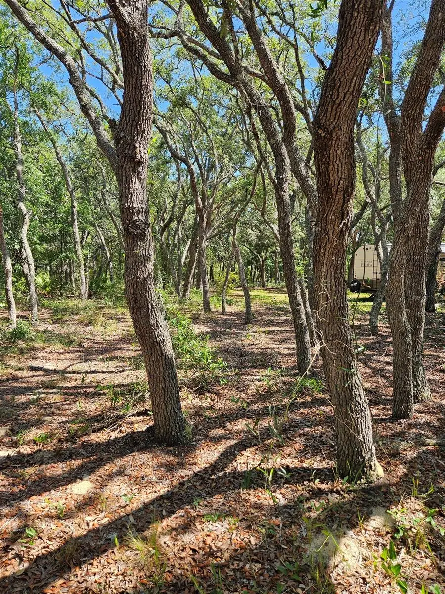 4300 W Roadrunner Court, Homosassa, FL 34446 - #3