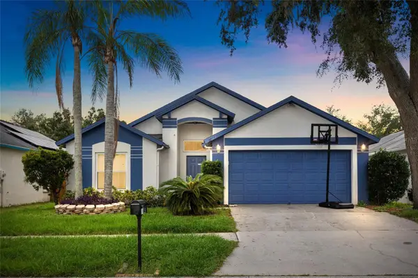 11019 Connacht Way, TAMPA, FL 33610