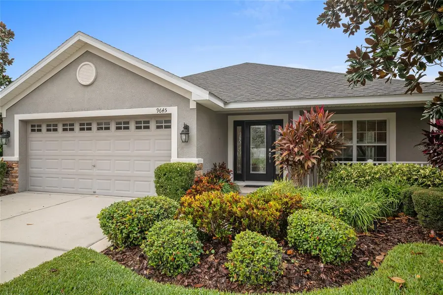 9645 Jaybird Lane, Land O Lakes, FL 34638 - #2