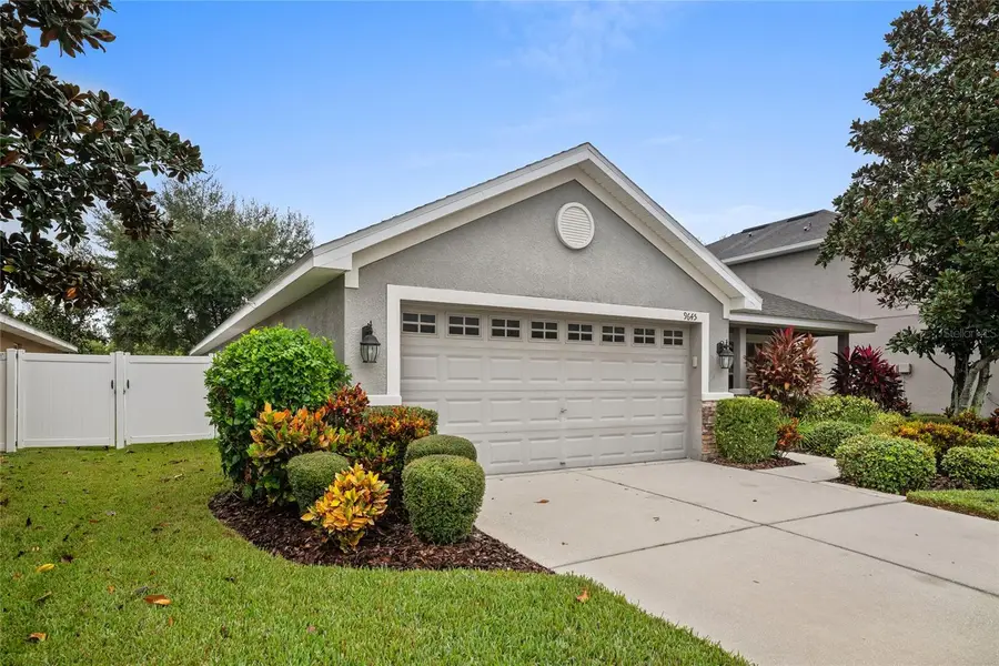9645 Jaybird Lane, Land O Lakes, FL 34638 - #3