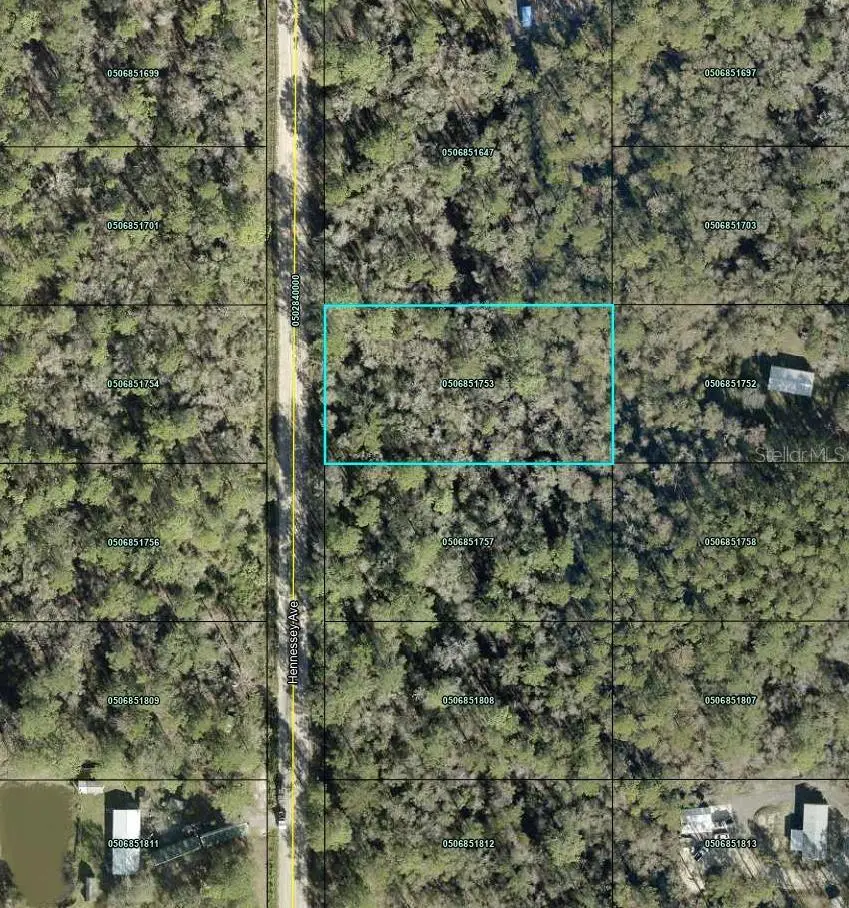 10690 Hennessey Avenue, Hastings, FL 32145 - #1