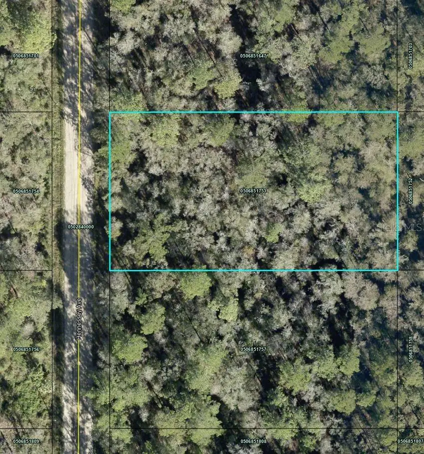 10690 Hennessey Avenue, Hastings, FL 32145 - #2
