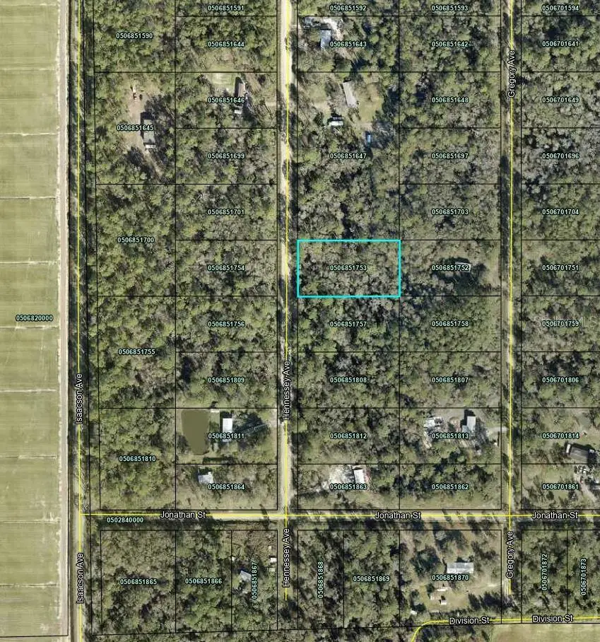 10690 Hennessey Avenue, Hastings, FL 32145 - #3