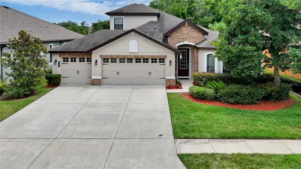 8013 Hampton Glen Drive, TAMPA, FL 33647