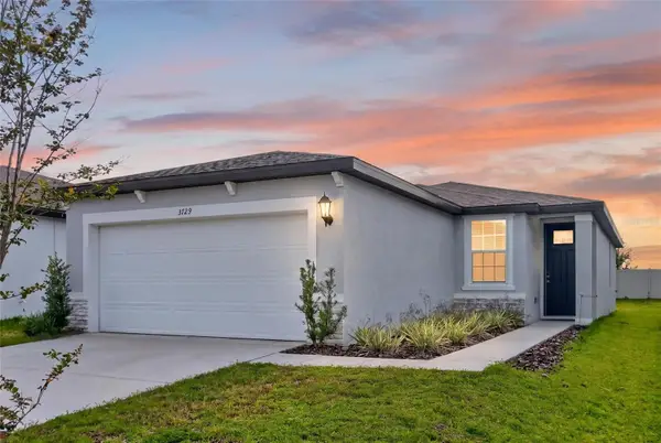 3729 Radiant Mountain Drive, PLANT CITY, FL 33565