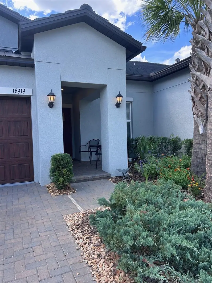 16919 Forge Surf Street, Land O Lakes, FL 34638 - #3