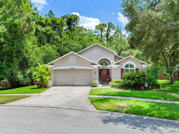 12502 Blazing Star Drive, TAMPA, FL 33626