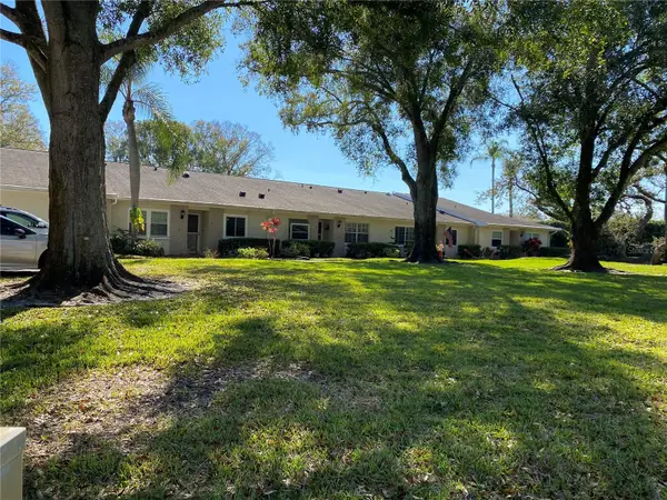 1059 Dunrobin Drive #B, PALM HARBOR, FL 34684