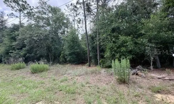 3223 E Scofield St, Inverness, FL 34453 - #1