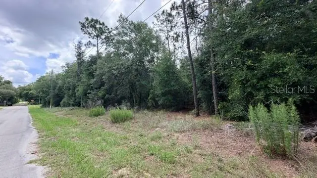 3223 E Scofield St, Inverness, FL 34453 - #2