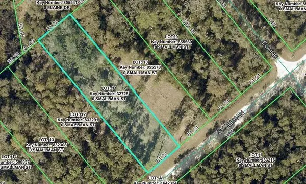 Smallman Street, WEBSTER, FL 33597