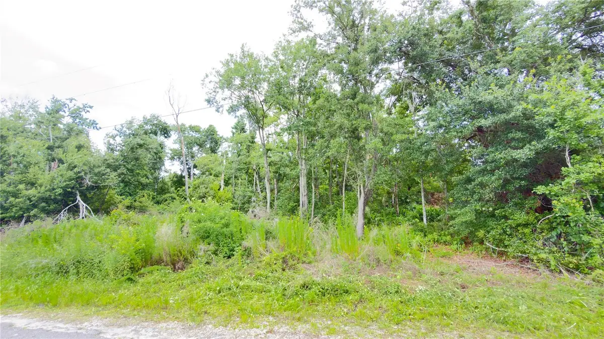 7402 Land Drive, Wesley Chapel, FL 33545 - #1