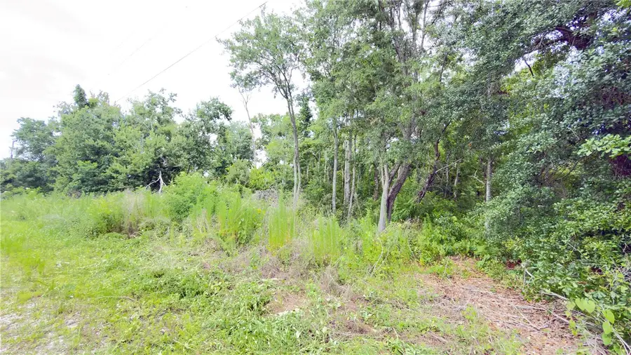 7402 Land Drive, Wesley Chapel, FL 33545 - #2