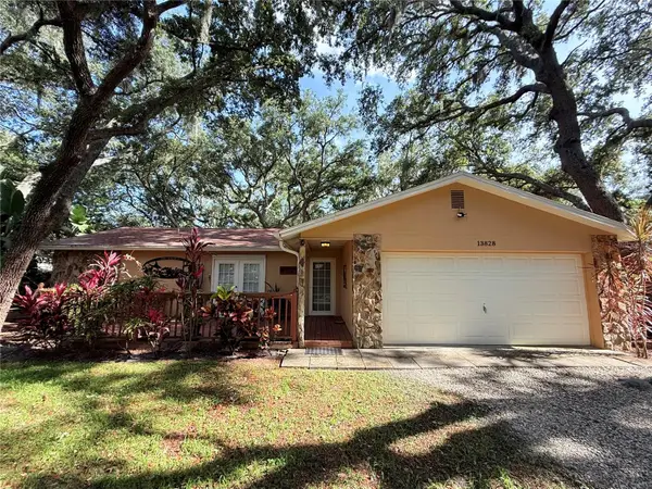 13828 Friendship Lane, ODESSA, FL 33556