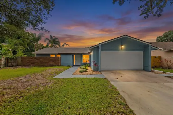 15917 Country Farm Place, TAMPA, FL 33624