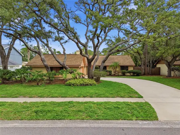 12008 Nicklaus Circle, TAMPA, FL 33624