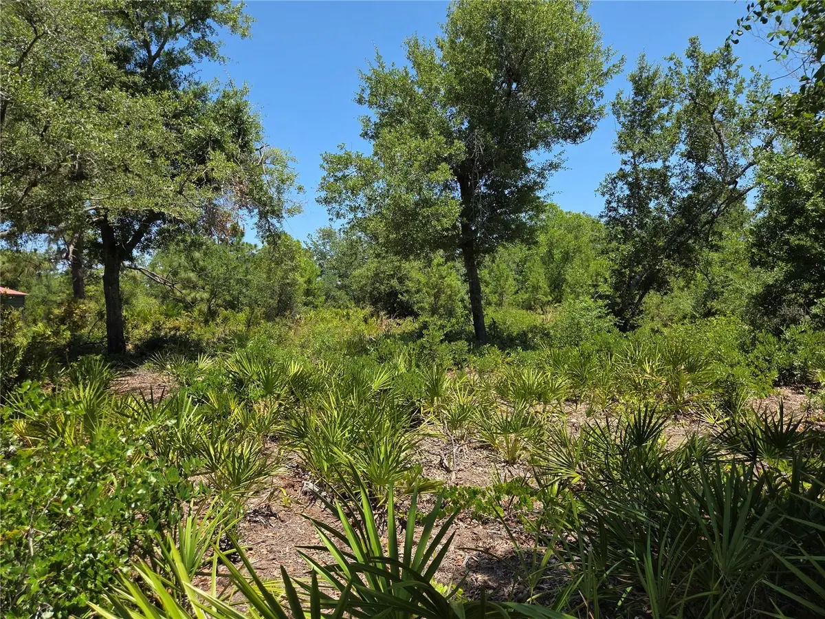33410 Washington Loop Road, Punta Gorda, FL 33982 - #1