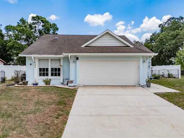 1417 Piney Branch Circle, VALRICO, FL 33594