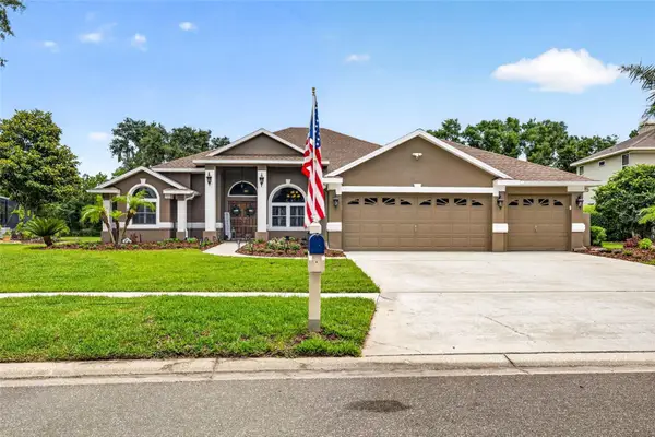 3904 S Nine Drive, VALRICO, FL 33596